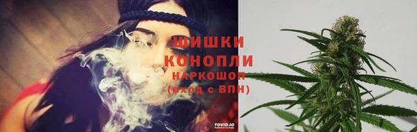 прущие грибы Остров