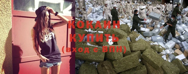 прущие грибы Остров