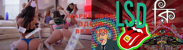 прущие грибы Остров