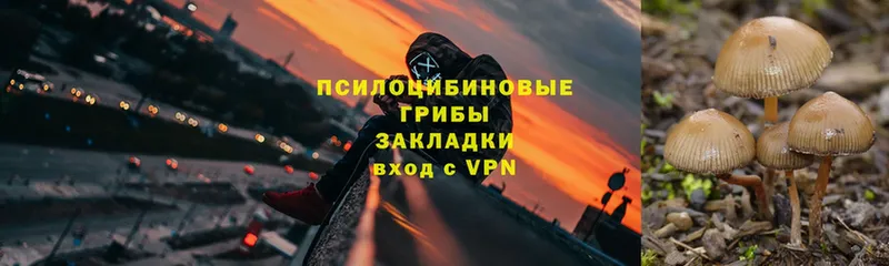 Псилоцибиновые грибы прущие грибы  наркошоп  МЕГА зеркало  Армянск 